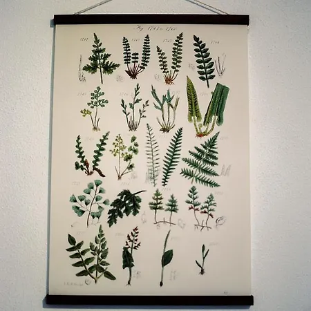 Gasthof The Five House