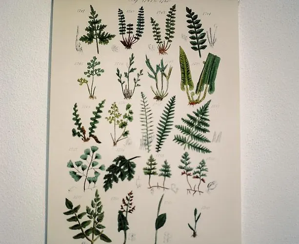 Pensjonat The Five House